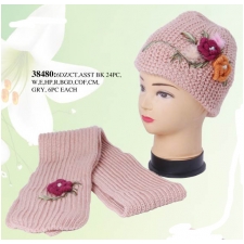 Wholesale Winter Sets - Hat and Scarf Set - 12 Sets
