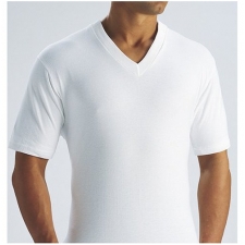 Wholesale Men's Fruit of the Loom V-neck T-shirts - 6 Doz
