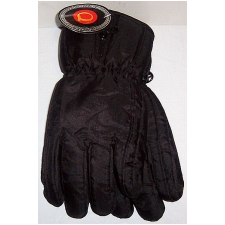 Men�s Thermal Insulation Ski Gloves
