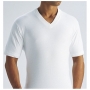 Wholesale Men's Fruit of the Loom V-neck T-shirts - 6 Doz