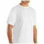 Wholesale Men's Fruit of the Loom Crew Neck T-Shirt - 6 Doz
