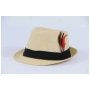 Wholesale Fedora Hats with Feather | 2 DZ