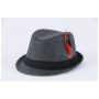 Wholesale Fedora Straw Hats with Feather | 2 DZ
