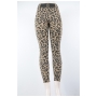 Wholesale Spandex Leggings | Women's Tights | 1 DZ