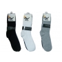 Wholesale Women's Crew Socks - 12 Pairs