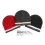Wholesale USA Beanie Hats - Ski Hat - 1 DZ