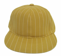 Wholesale Pinstriped Fitted Hats – Flat-Bill Caps - 1 Doz