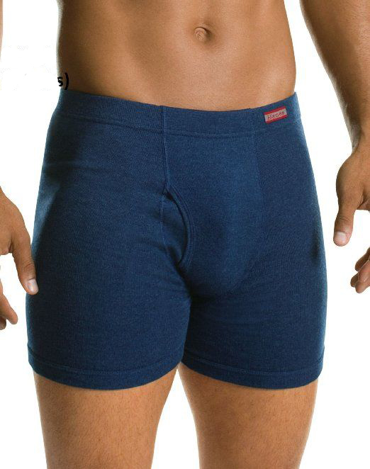 Hanes Men's Tagless Boxer Brief with Comfort Waistband - 4 Pack