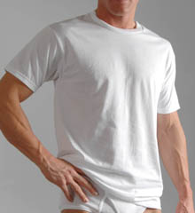 Wholesale Hanes T-Shirts