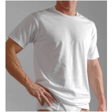 Hanes Crew Neck T-Shirt | Hanes T-Shirt 4035