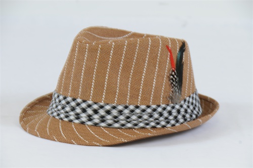 Wholesale Pinstripe Fedora Hats with Feather | 2 DZ