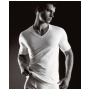 Men's ALFANI 100% Combed Cotton V-Neck T-Shirts 3-Pack