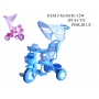 WHOLESALE 2 NEW KIDS CHILDREN PUSH TRICYCLE STROLLER